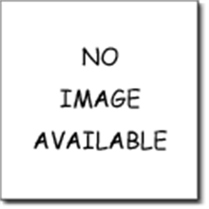 Picture of T Shirt